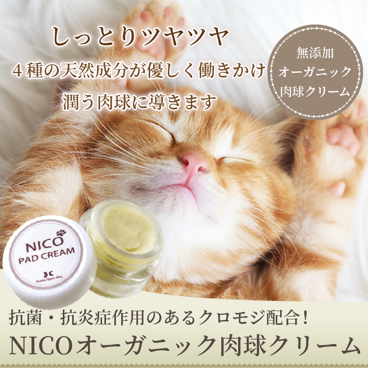 猫用肉球クリーム Nicoオーガニック肉球クリーム 無添加 国産キャットフードのキャットスタンス